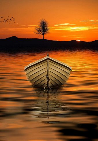 1640x2360 Wallpaper 031 340x489