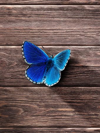Butterfly Surface Wooden Wallpaper 1620x2160 1 340x453