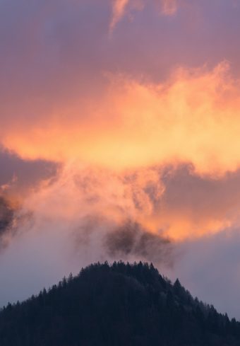 Mountains Fog Sky Trees Sunset Wallpaper 1640x2360 1 340x489