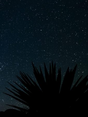 Starry Sky Stars Space Wallpaper 1620x2160 1 340x453