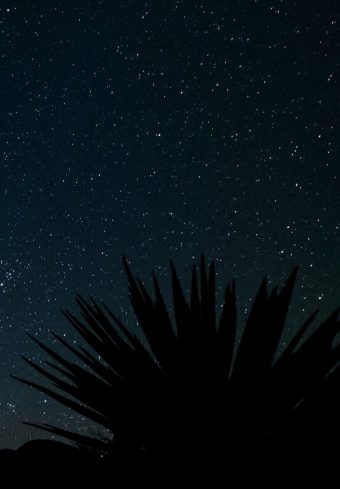 Starry Sky Stars Space Wallpaper 1640x2360 1 340x489