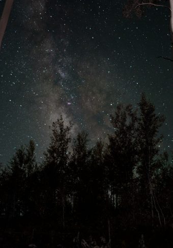 Starry Sky Stars Trees Night Wallpaper 1640x2360 1 340x489