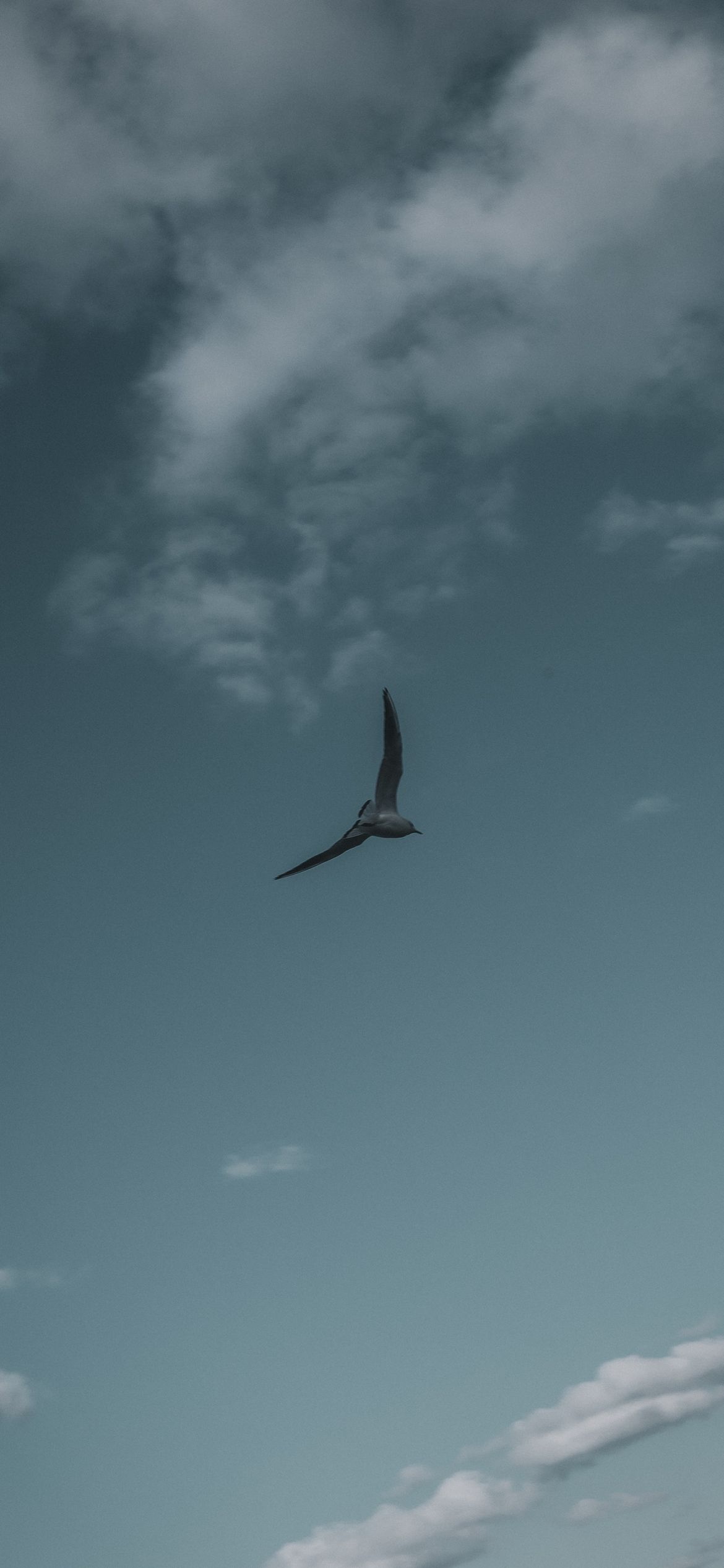 1170x2532 Wallpaper 370