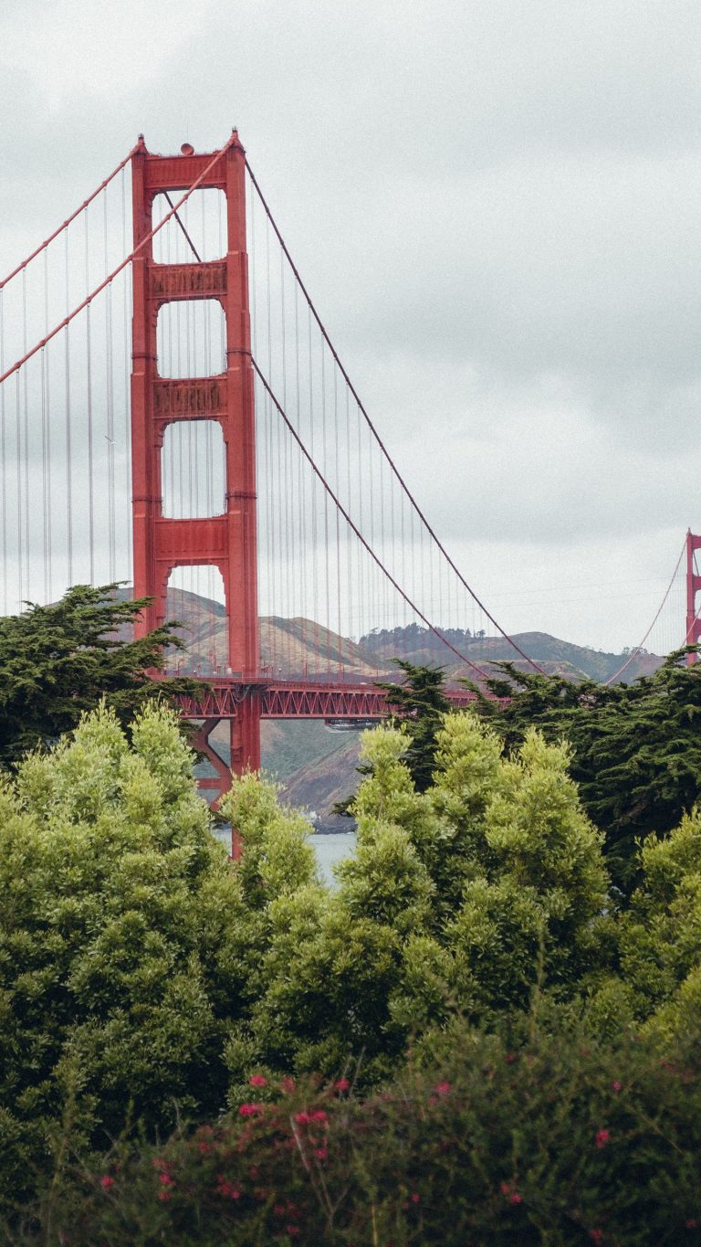 Golden Gate Bridge Wallpaper [1440x2560] - 10