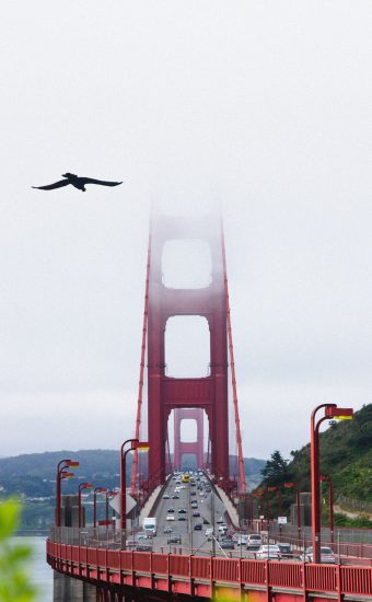 Golden Gate Bridge Wallpaper [1440x2560] - 25