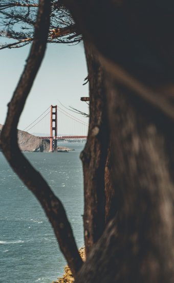 Golden Gate Bridge Wallpaper [1440x2560] - 36