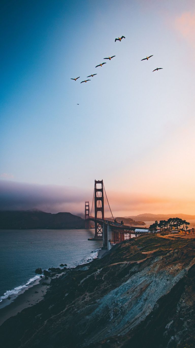 Golden Gate Bridge Wallpaper [1440x2560] - 46