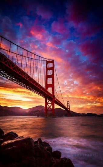 Golden Gate Bridge Wallpaper [487x720] - 60