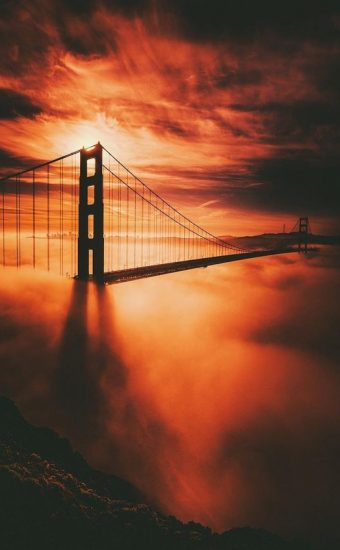 Golden Gate Bridge Wallpaper [564x846] - 59
