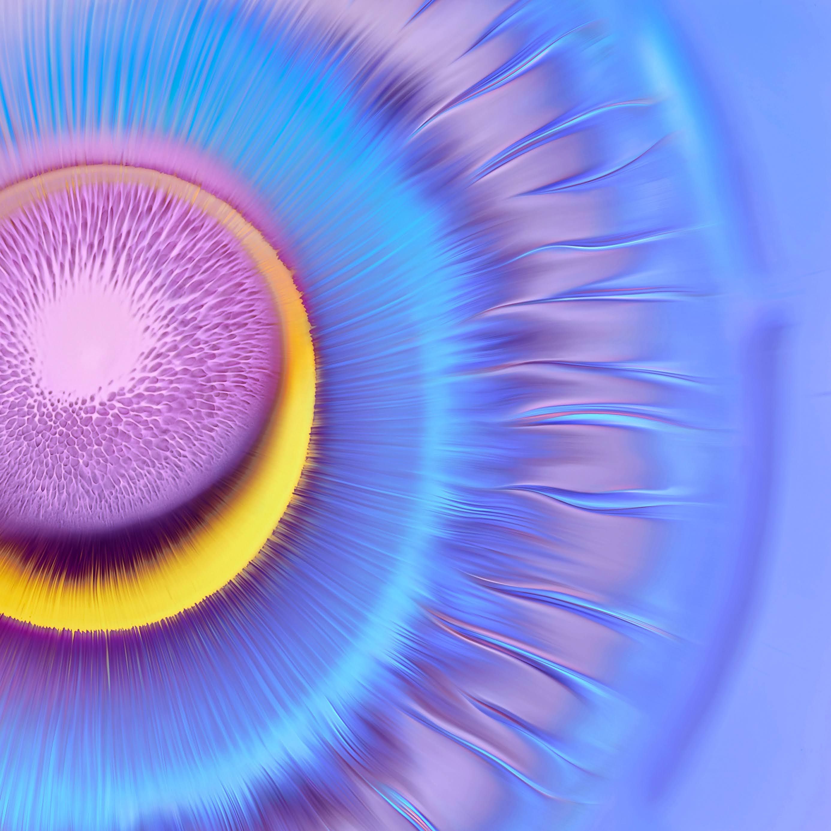 Huawei Mate 40 Pro Stock Wallpaper 06