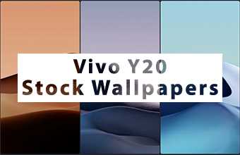 Vivo Y20 Stock Wallpaper