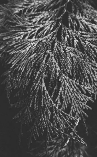 Black and White iPhone Wallpaper - 025