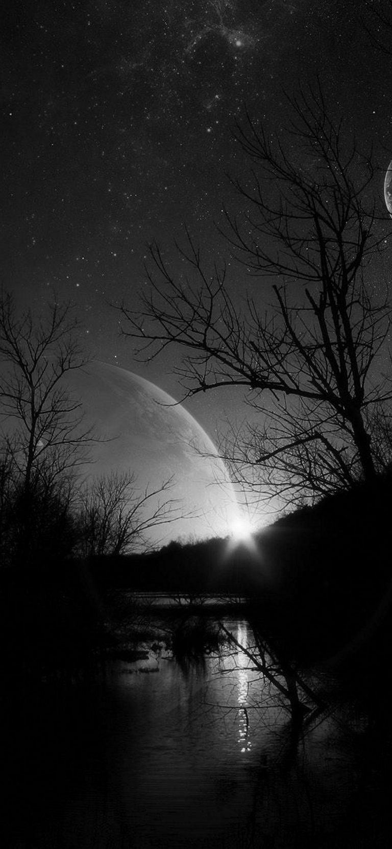 Black and White iPhone Wallpaper - 080