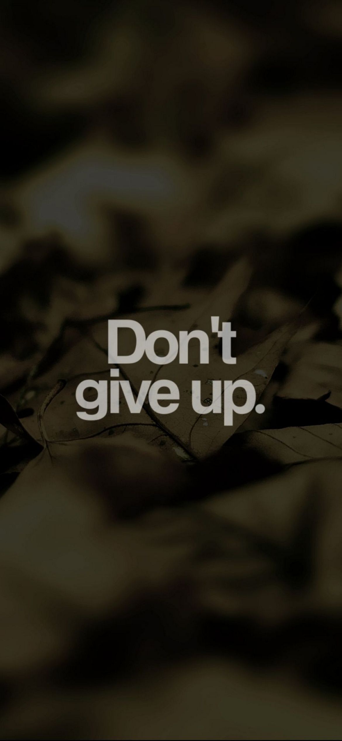 When you don t give up. When you don t give up. When you don t give up. Вдохновляющие фразы. You matter.