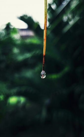 Water Drop Wallpaper - 002