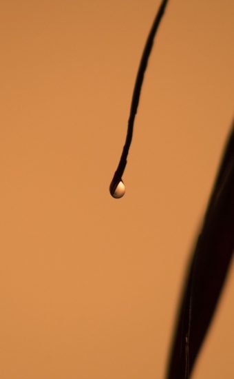 Water Drop Wallpaper - 033