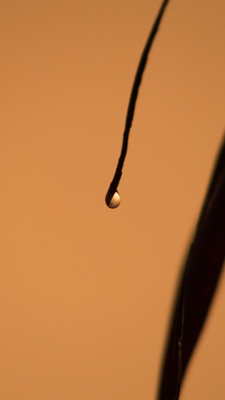 Water Drop Wallpaper - 033