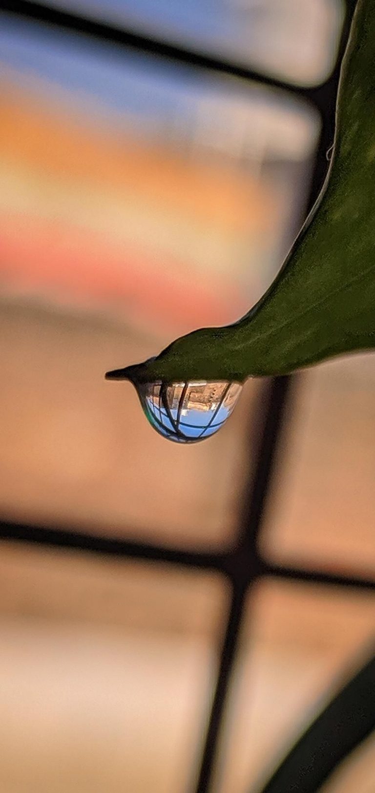 Water Drop Wallpaper - 047