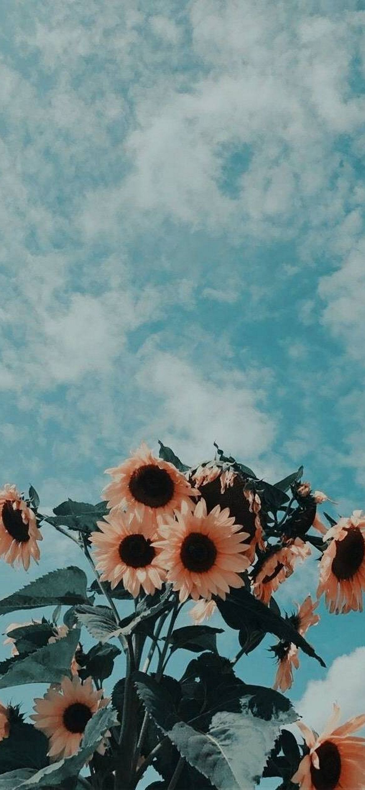 Gratis 89+ Gratis Wallpaper Hd Iphone Aesthetic Terbaru