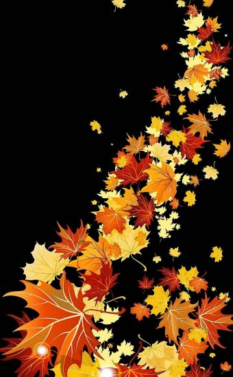 iPhone Autumn Wallpaper 080 340x550