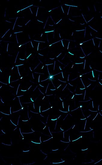 iPhone Dark Wallpapers HD