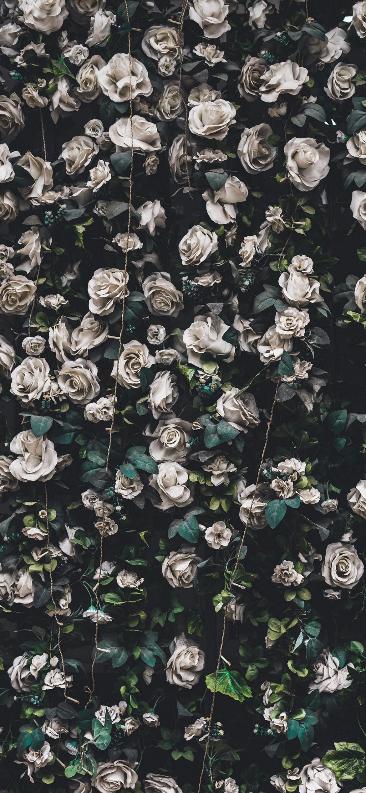 50 Gorgeous Flower Aesthetic Wallpaper for your Iphone  Prada  Pearls