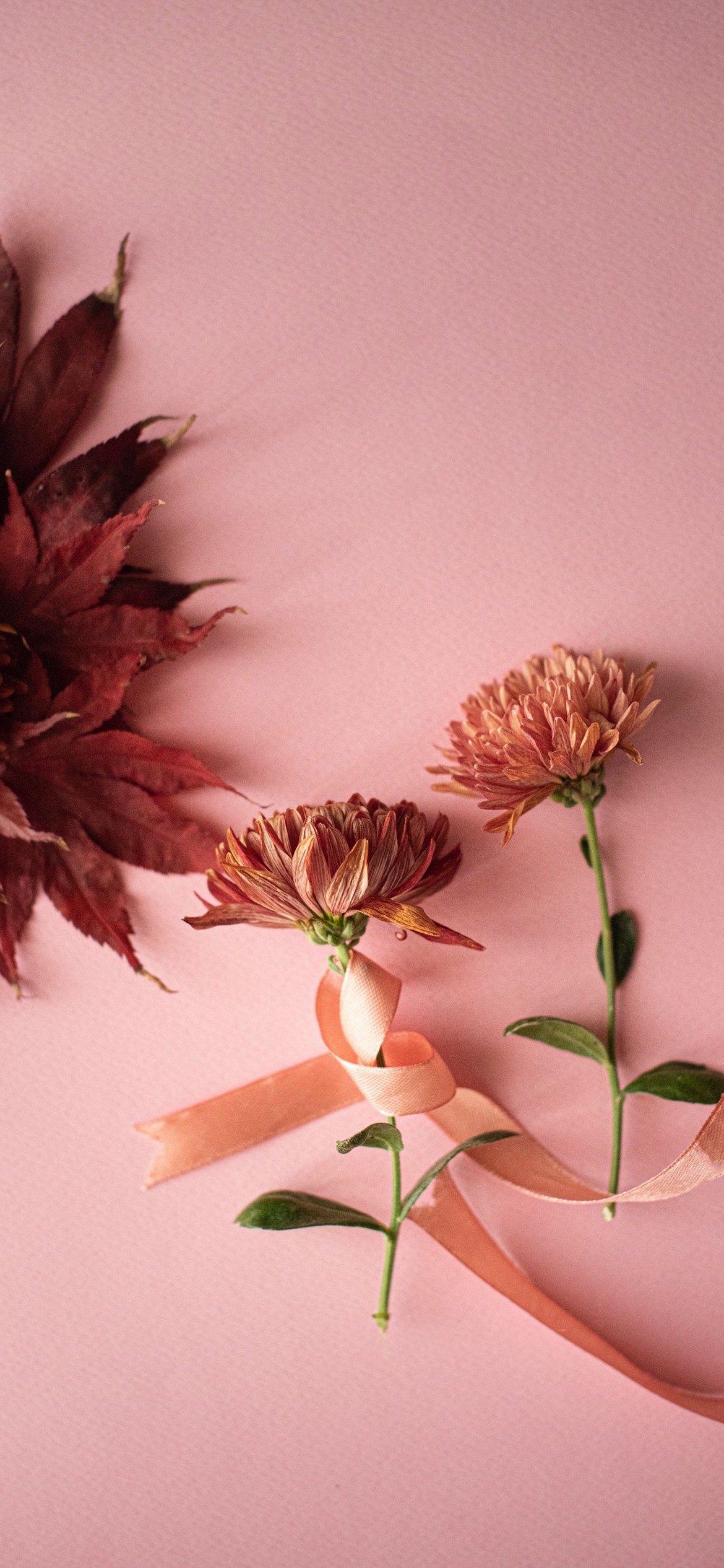 Iphone Flower Wallpaper 054 Iphone Flower Wallpaper 054