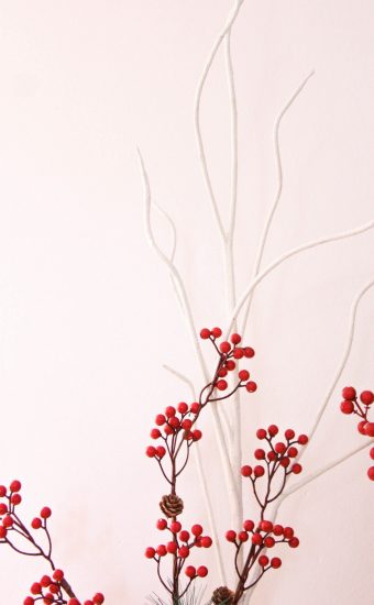 iPhone Flower Wallpaper 121 340x550