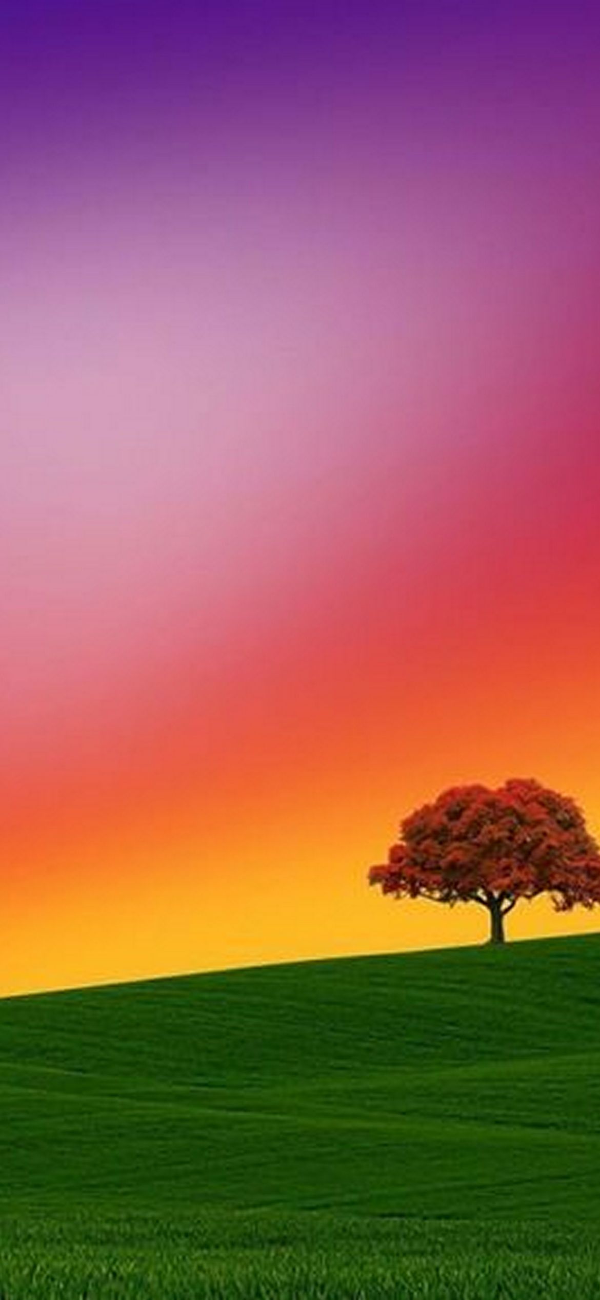 Colourful Nature HD wallpapers free download  Wallpaperbetter