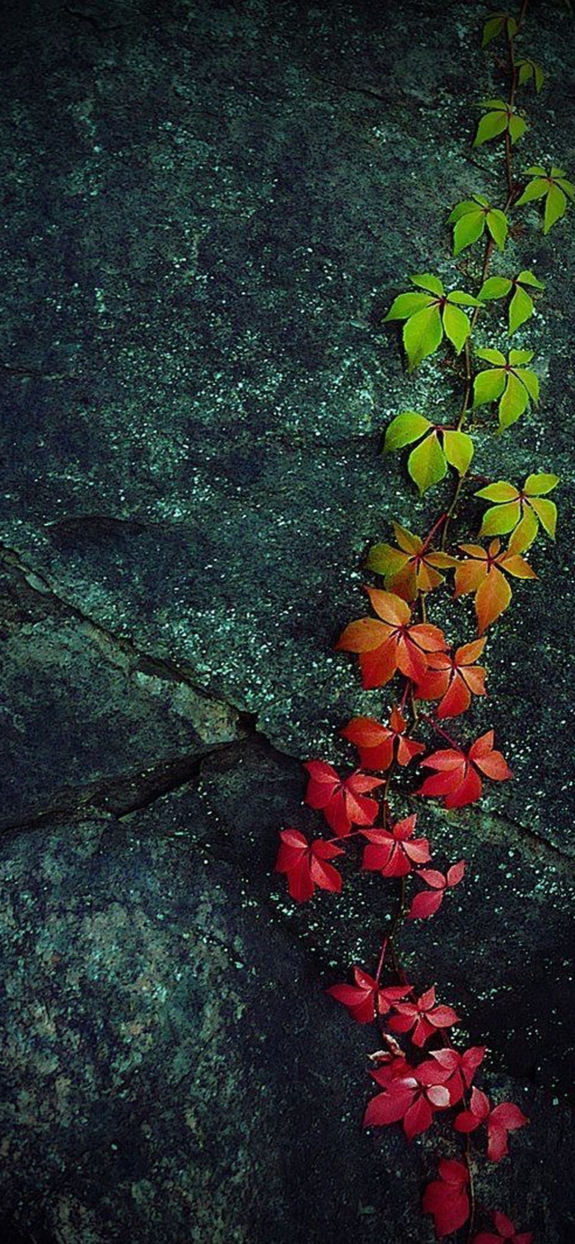 48+] Desktop Wallpaper Nature Scenes - WallpaperSafari