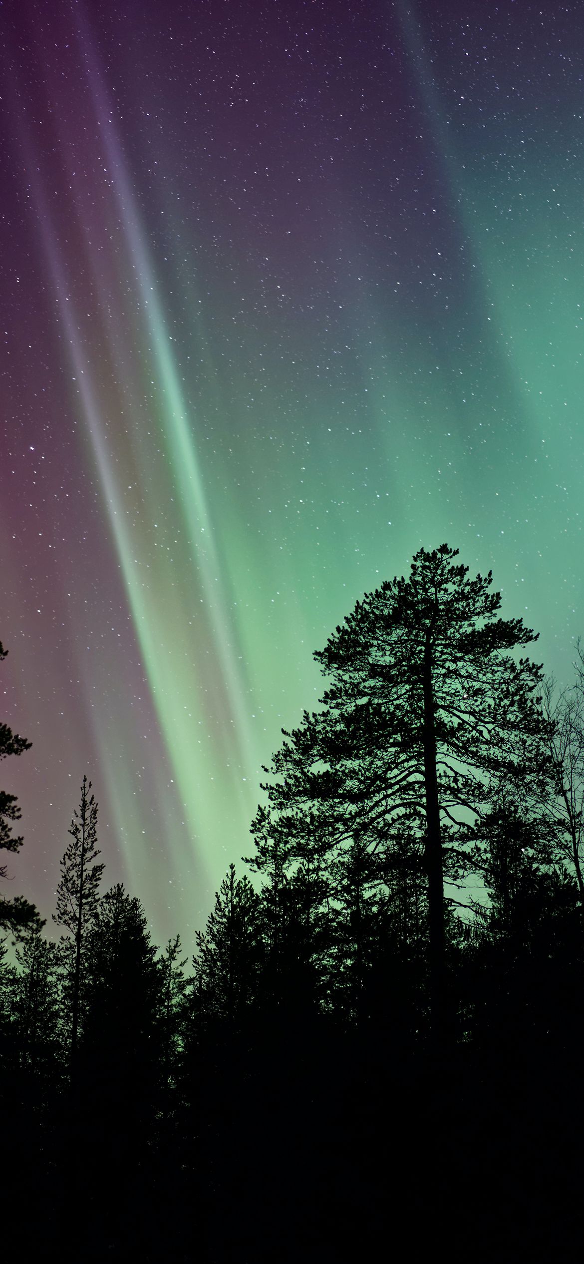 Aurora Borealis Wallpaper 4K Northern Lights Norway Nature 4842
