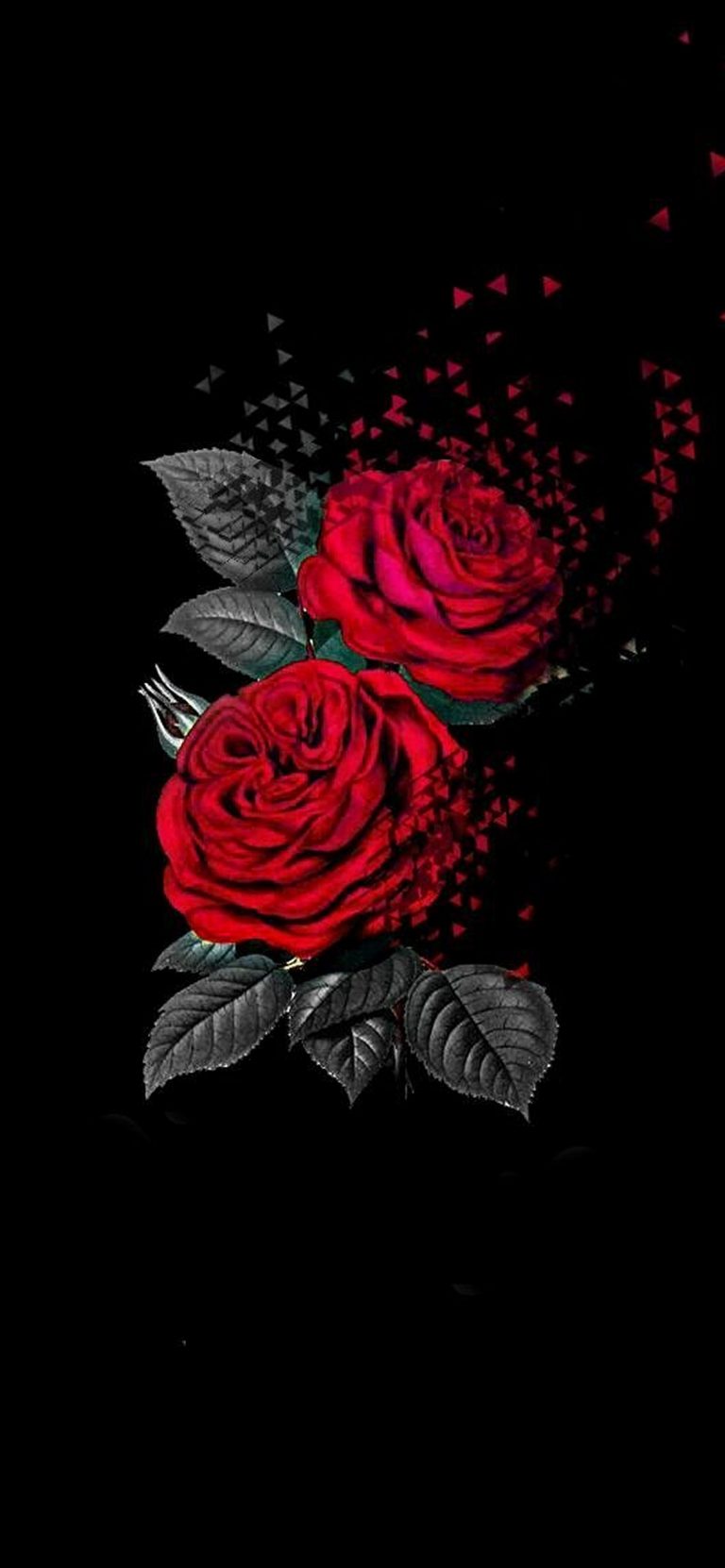 iPhone Rose Wallpaper 204