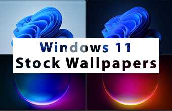 Windows 11 Stock Wallpapers