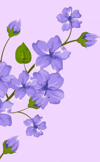 200 Purple Iphone Wallpapers  Wallpaperscom