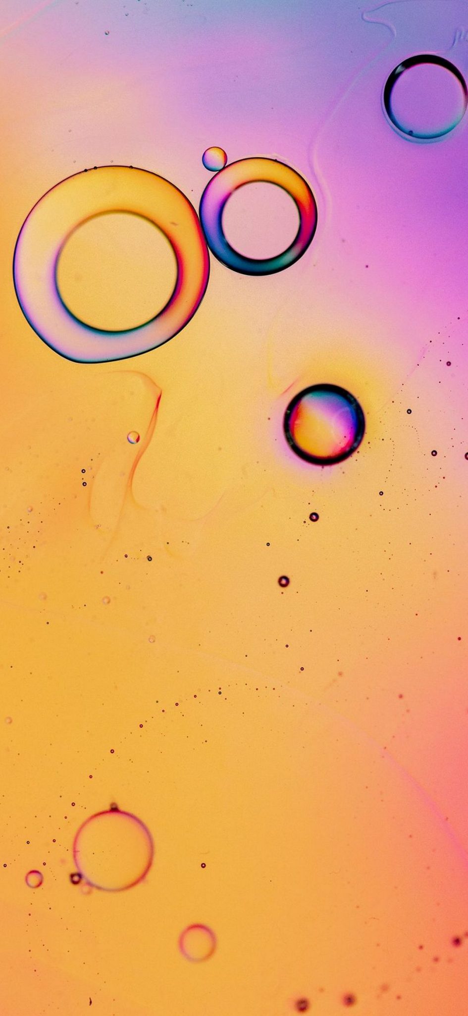 Gradient Phone Wallpaper - 352