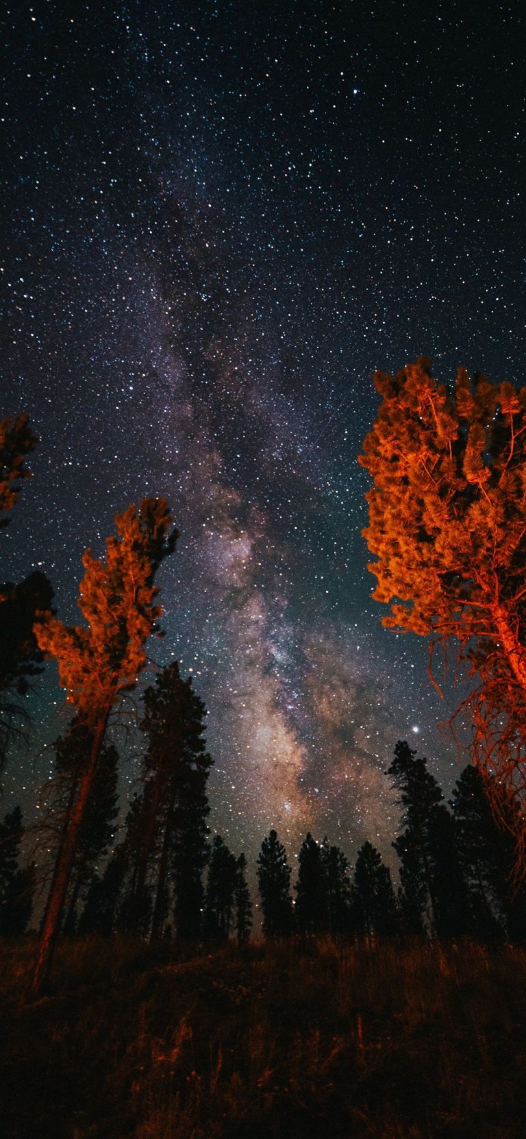 1284x2778 Wallpaper - 491