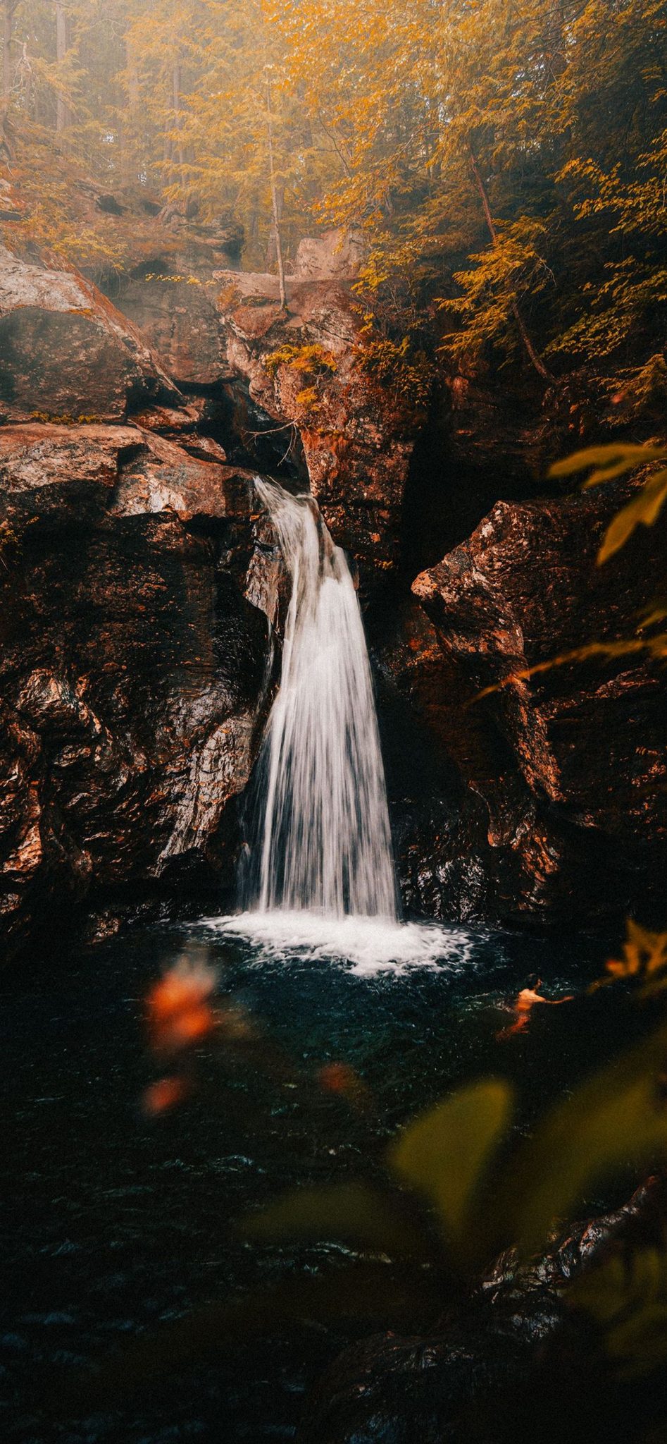 1284x2778 Wallpaper - 492