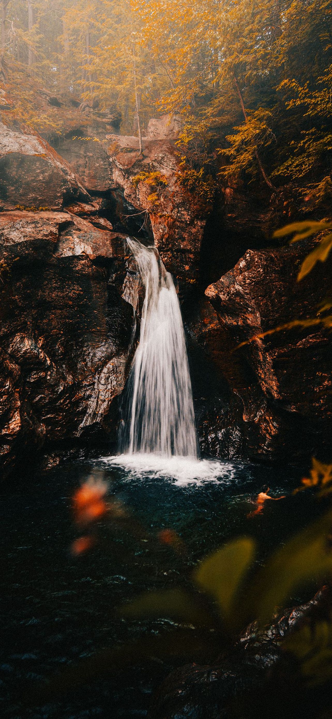 1284x2778 Wallpaper - 492