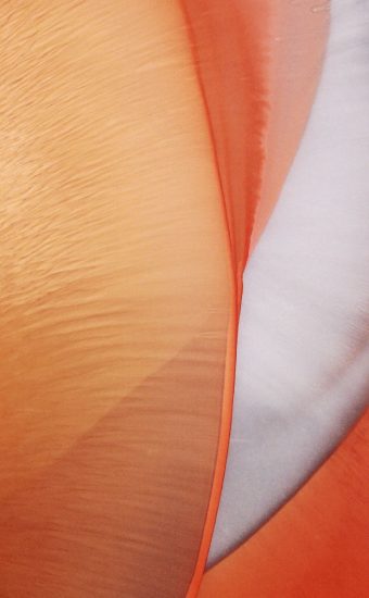 ColorOS 12 Stock Wallpaper 18 340x550