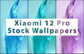 Xiaomi 12 Pro Stock Wallpapers