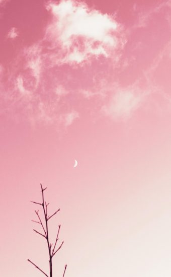 Pink iPhone Wallpaper 018 340x550