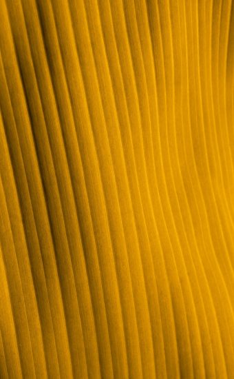 Yellow Phone Wallpaper 07 340x550