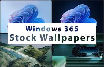 Windows 365 Stock Wallpapers