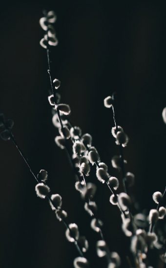 Home Screen Wallpaper 019 340x550