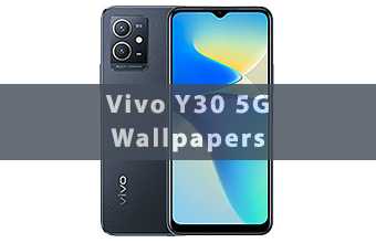 Vivo Y30 5G Wallpapers