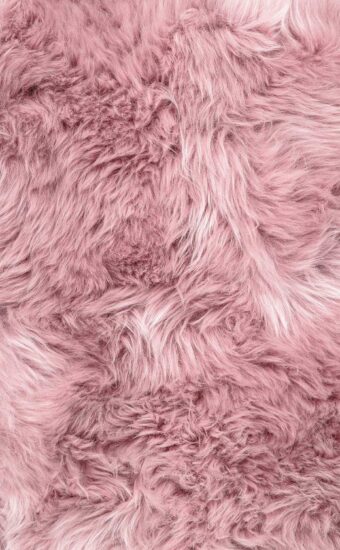 Fur Wallpaper 01 340x550