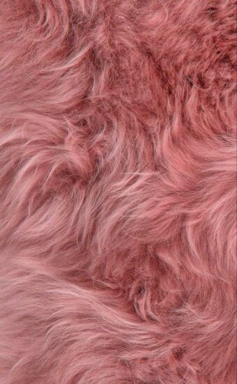 Fur Wallpaper 02 340x550