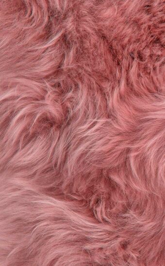 Fur Wallpaper 05 340x550