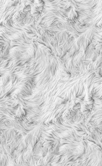 Fur Wallpaper 06 340x550