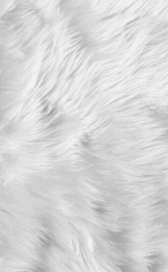 Fur Wallpaper 07 340x550